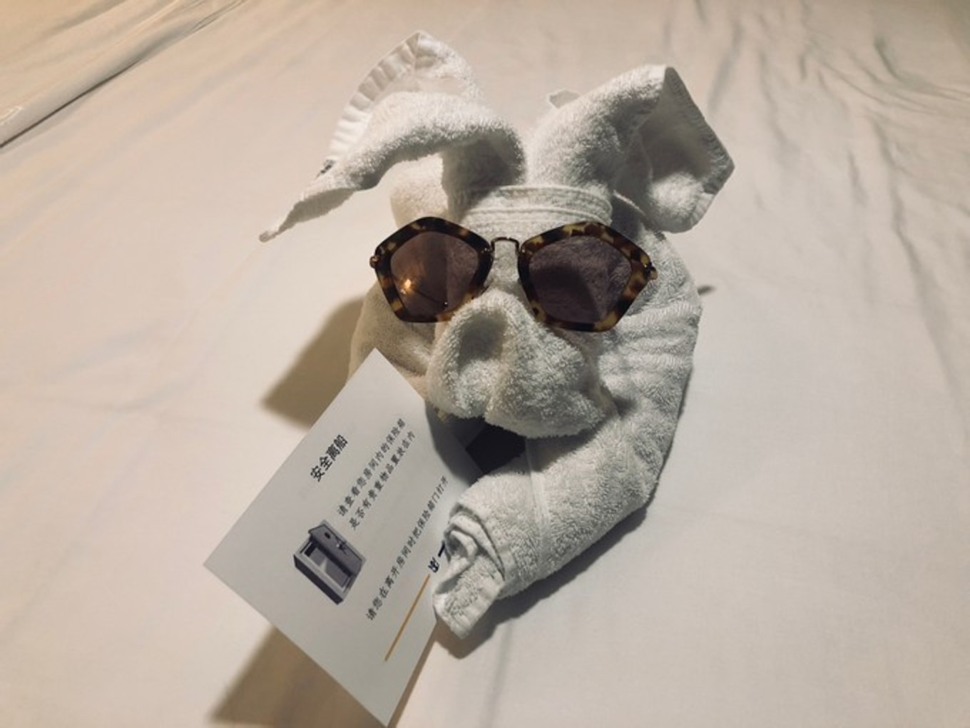 皇家加勒比选哪条航线,皇家加勒比海洋航线