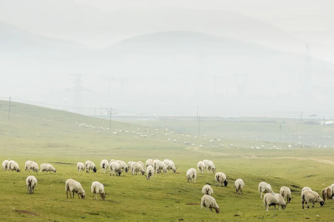 青海西宁是座怎样的城市,西宁是不是最具幸福感城市