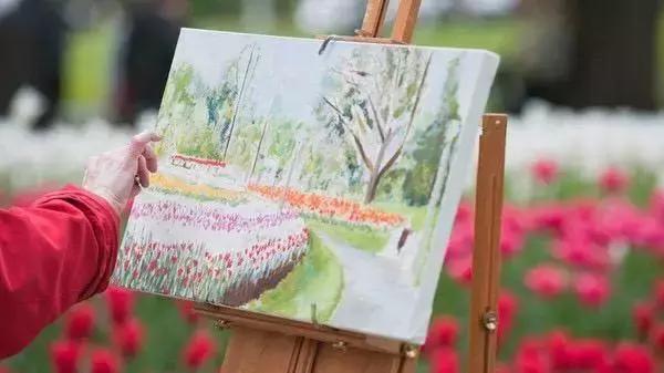 元宵花灯太美了,春季赏花郁金香太美了