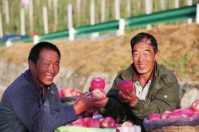 大山里的小女警,山沟里的金凤凰——灵宝户籍警韩晓丹