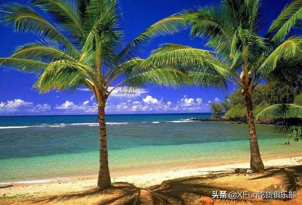 食物届隐藏魔术师！骗你没商量