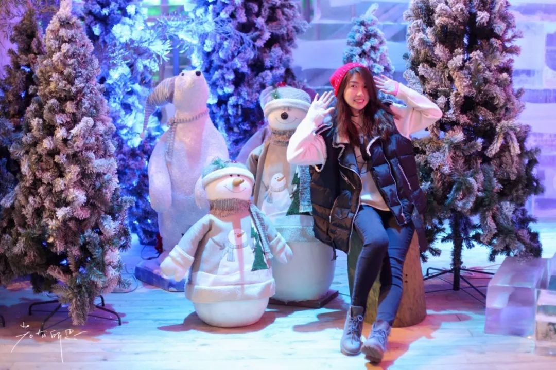 济州岛应该冬天去还是夏天去,冬日济州岛怎么玩