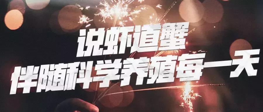 塘里死的龙虾,小龙虾进笼死与偷死的病因区别