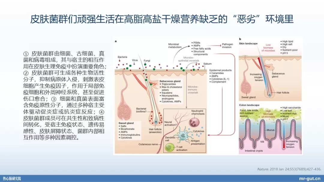 热心肠先生益生菌视频大全,热心肠先生全集