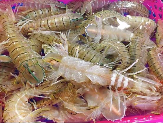 高考撞端午，全上985——高考结束我们就组队吃海鲜