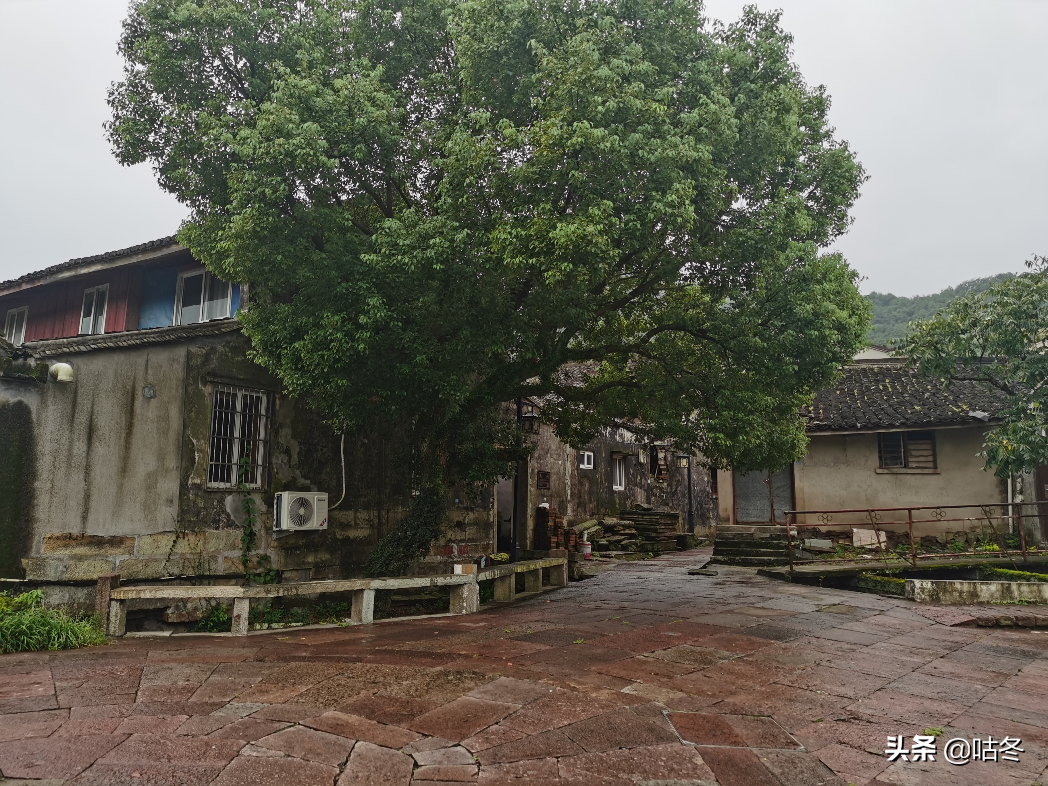 宁波十大著名老街,宁波东钱湖韩岭老街