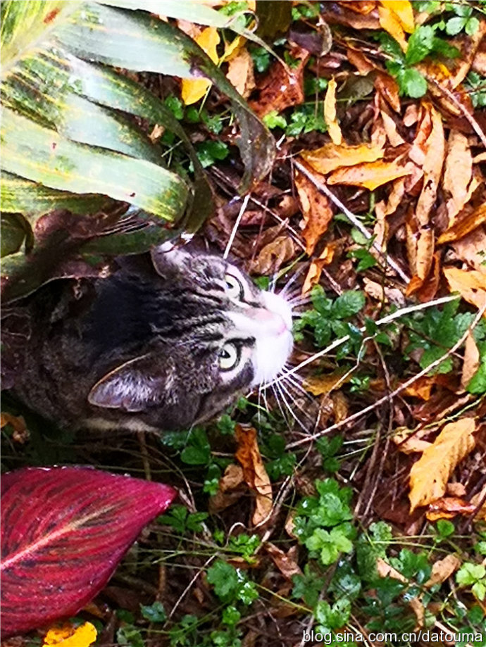 新西兰还有这等福利？