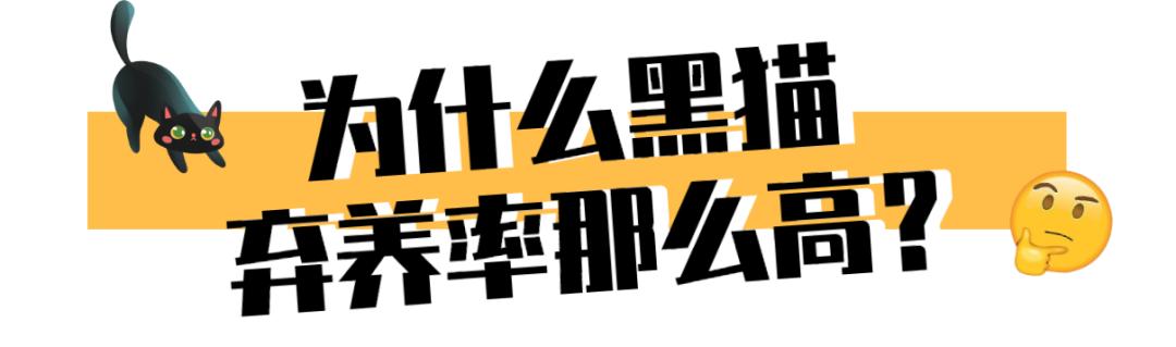 黑猫不吉利是谁说的,黑猫不吉利是真的吗