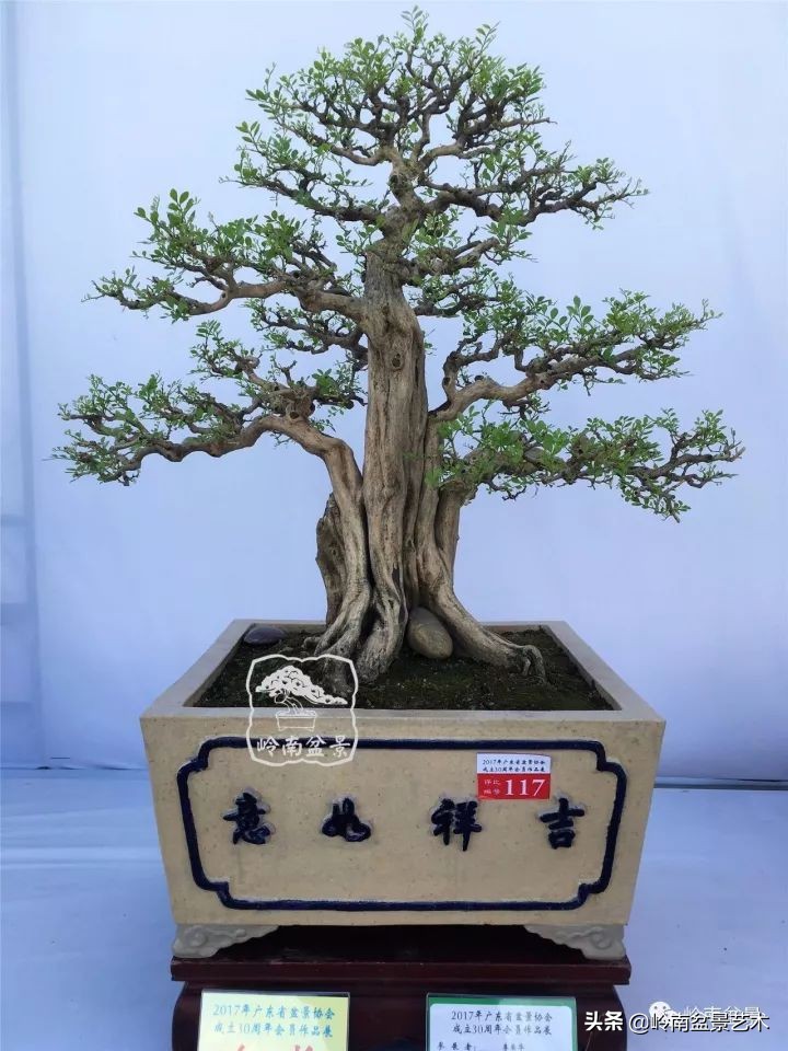 骞哥涔呬箙鐢滅敎铚滆湝,骞哥涔呬箙