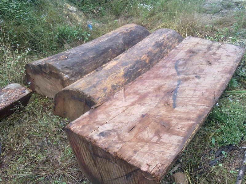 常见木材的种类简介及图片,常见木材的种类档次