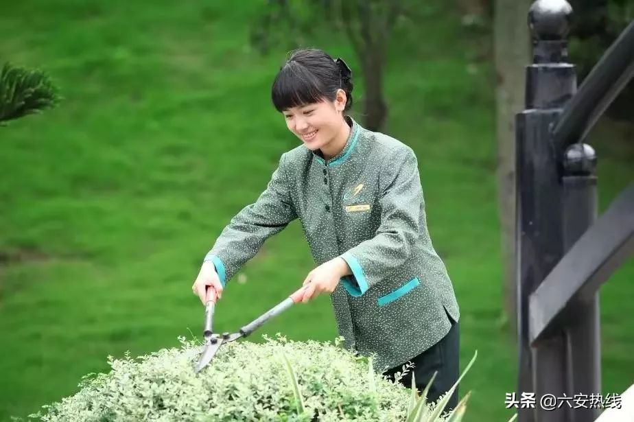 六安碧桂园物业发展论坛,碧桂园的物业还是很暖心