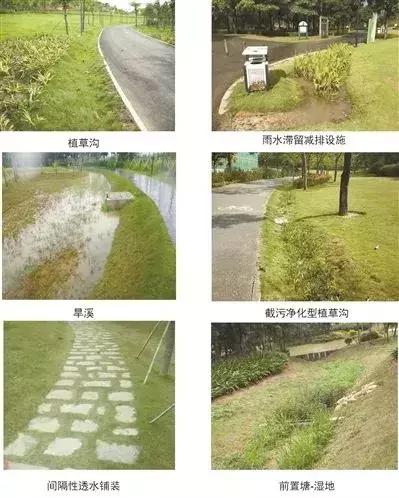 光明这些河流又有新变化,多个好消息密集来报~