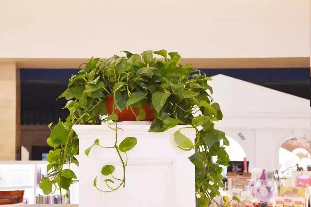 北京防雾霾措施最新消息,预防雾霾的方法和措施