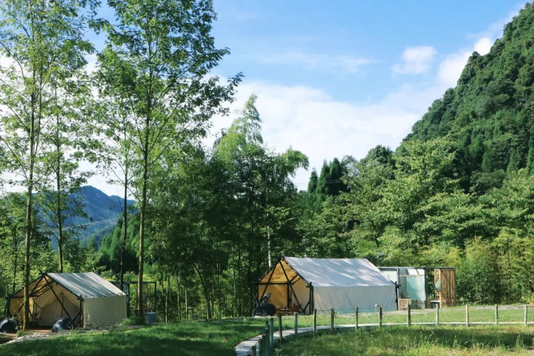 彭州太空舱营地,成都熊猫森林太空舱民宿