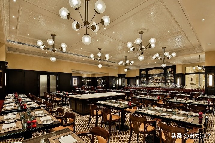 锦鲤体质好运爆棚,锦鲤体质增强