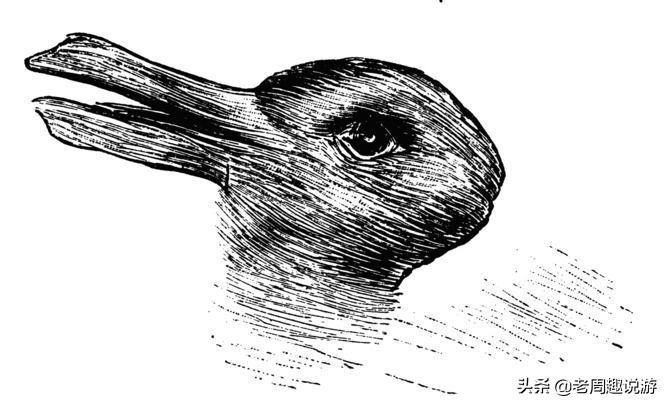 去月球最后一个记忆碎片,去月球的意义