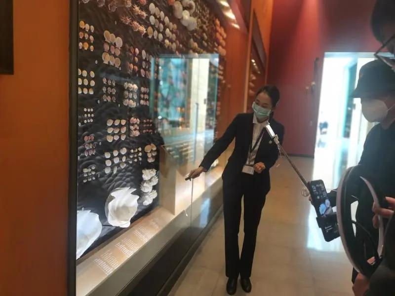 还有人从国外寄来20多只果蝠标本？海淘代购注意了，邮寄蜥蜴、盆景入境，可能会入刑！