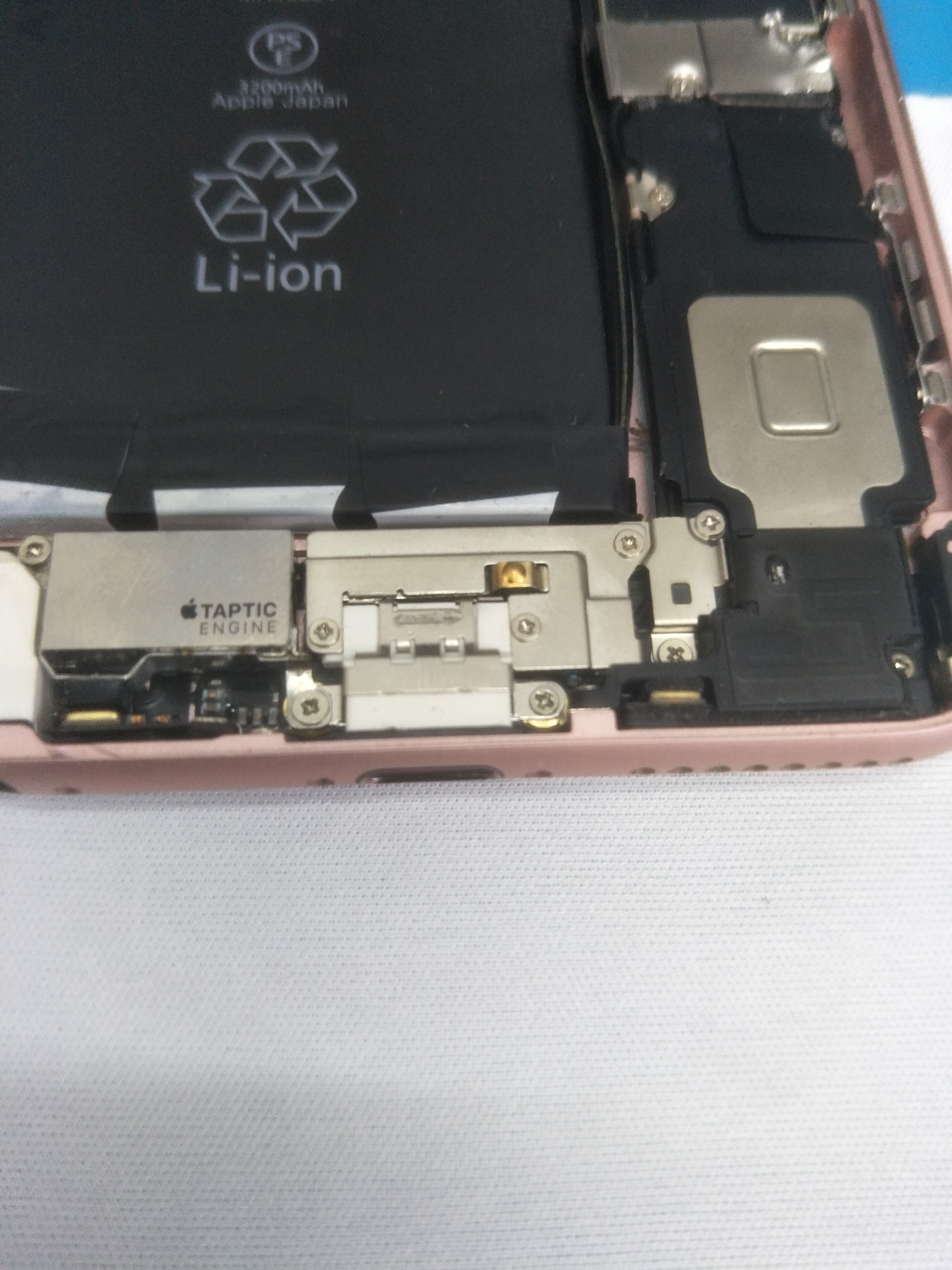 *窥偷**苹果6s“菊花”(尾插)的秘密