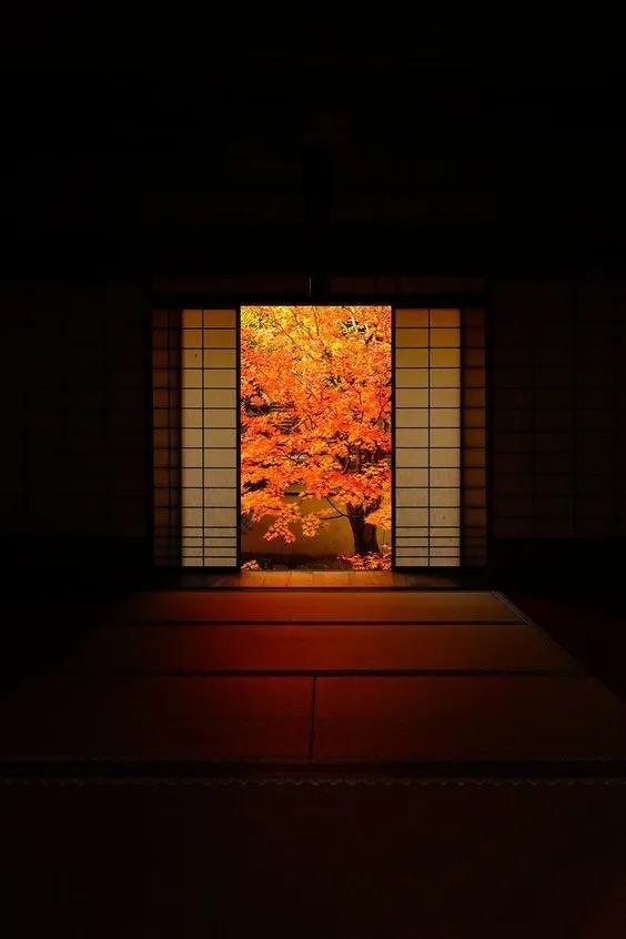 秋色正艳|掌握这6个小技巧，教你拍出绝美秋景