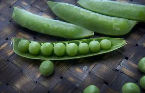 25岁怎么把皮肤养好,30岁怎么把皮肤养好养细腻