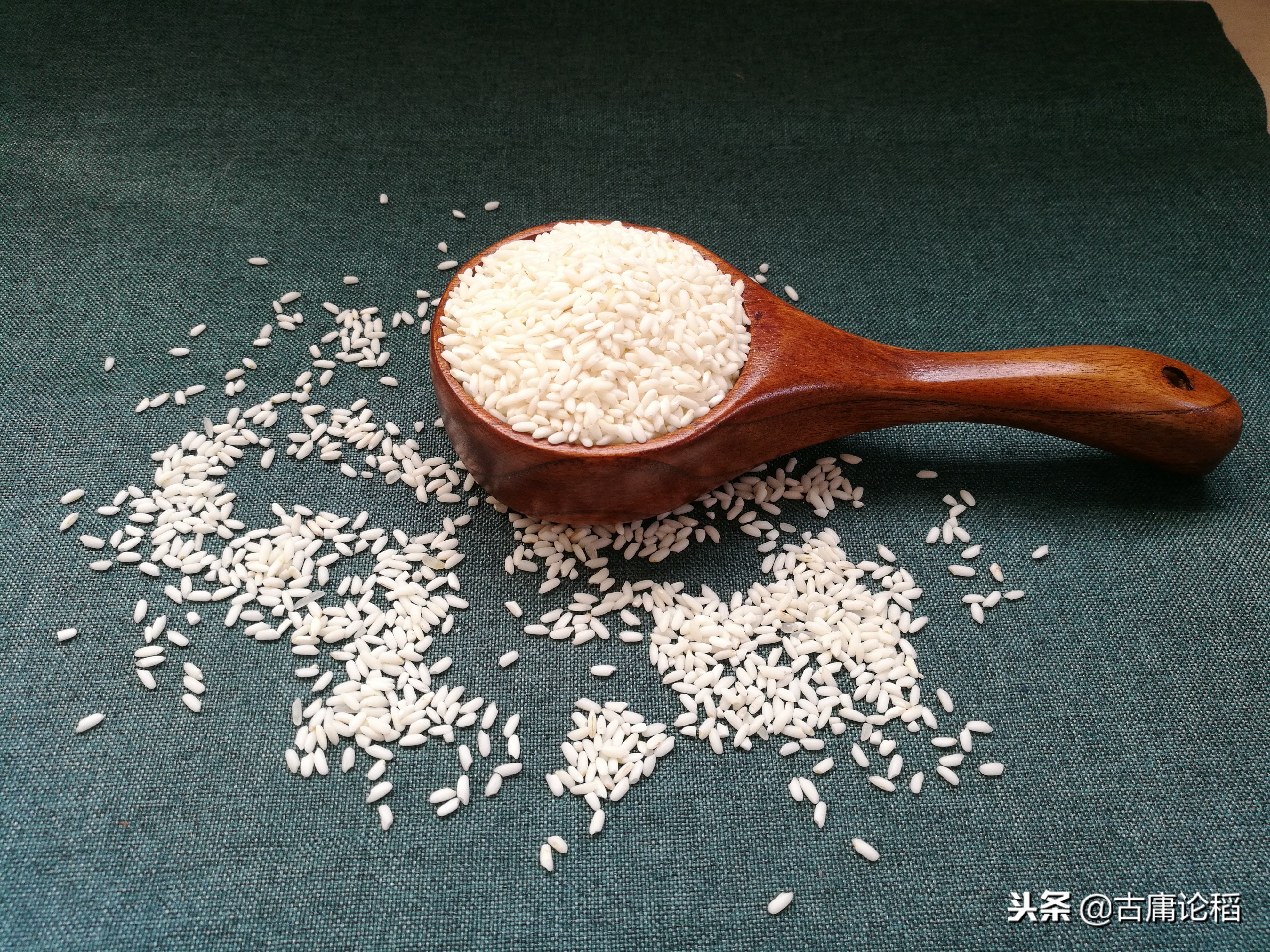 米和面里黑色的虫子是什么,你见过米里面黑色的小虫吗