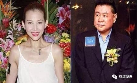 香江美人传奇李嘉欣,香江美人传奇洪欣
