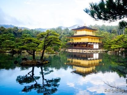 8天7夜,带着老头子游轮上岸行是种什么体验?