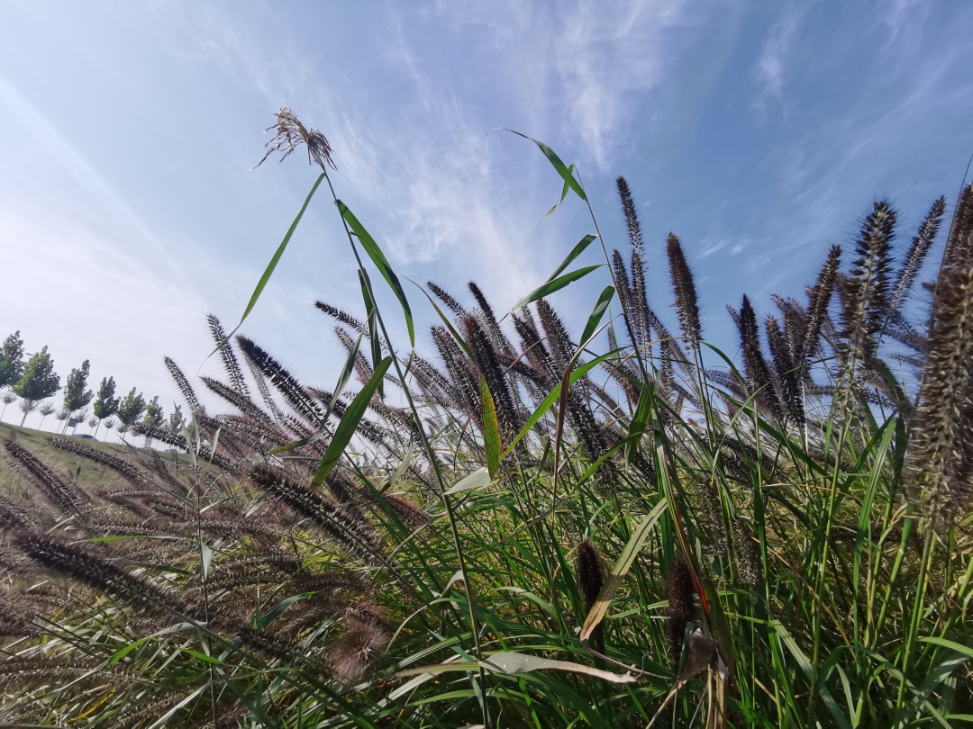荆山旅游景点大全,荆山美景