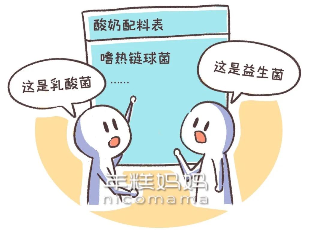 乳酸菌、益生元、益生菌是什么？分清这几点，让你少花冤枉钱