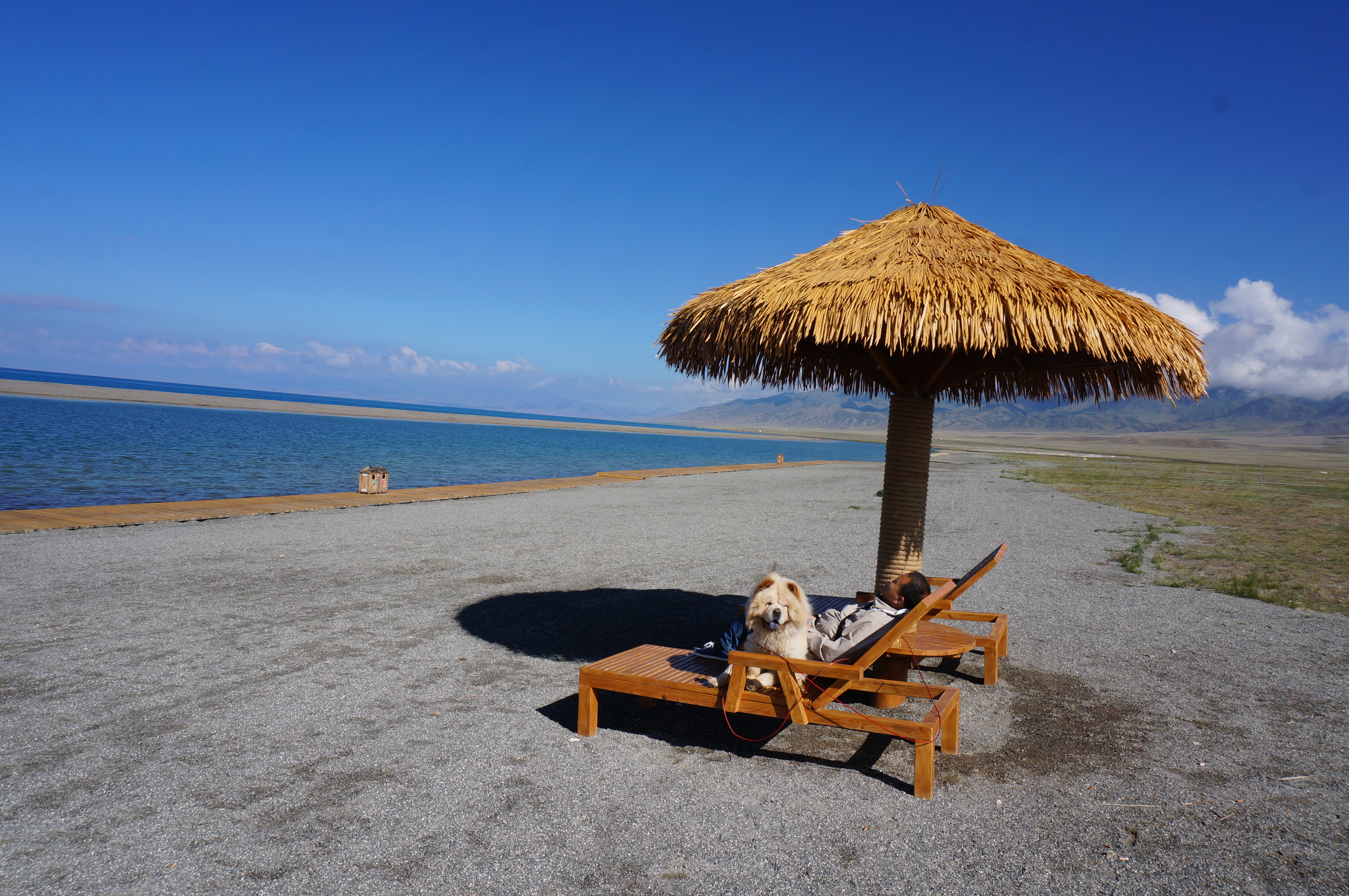 最新自驾出疆路线攻略,湖北出发新疆自驾游最佳路线寒假