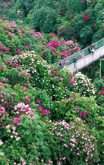 清明旅游一日游攻略,清明旅游三日游攻略