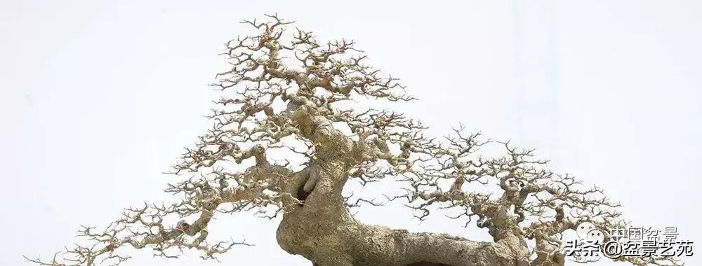 鏈存爲寰楀鐩嗘櫙,椤剁骇鏈存爲鐩嗘櫙娆h祻