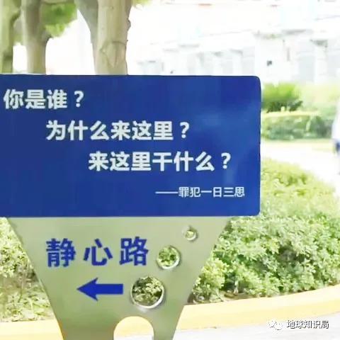 铁窗里的大碗牢饭,好吃么?|地球知识局