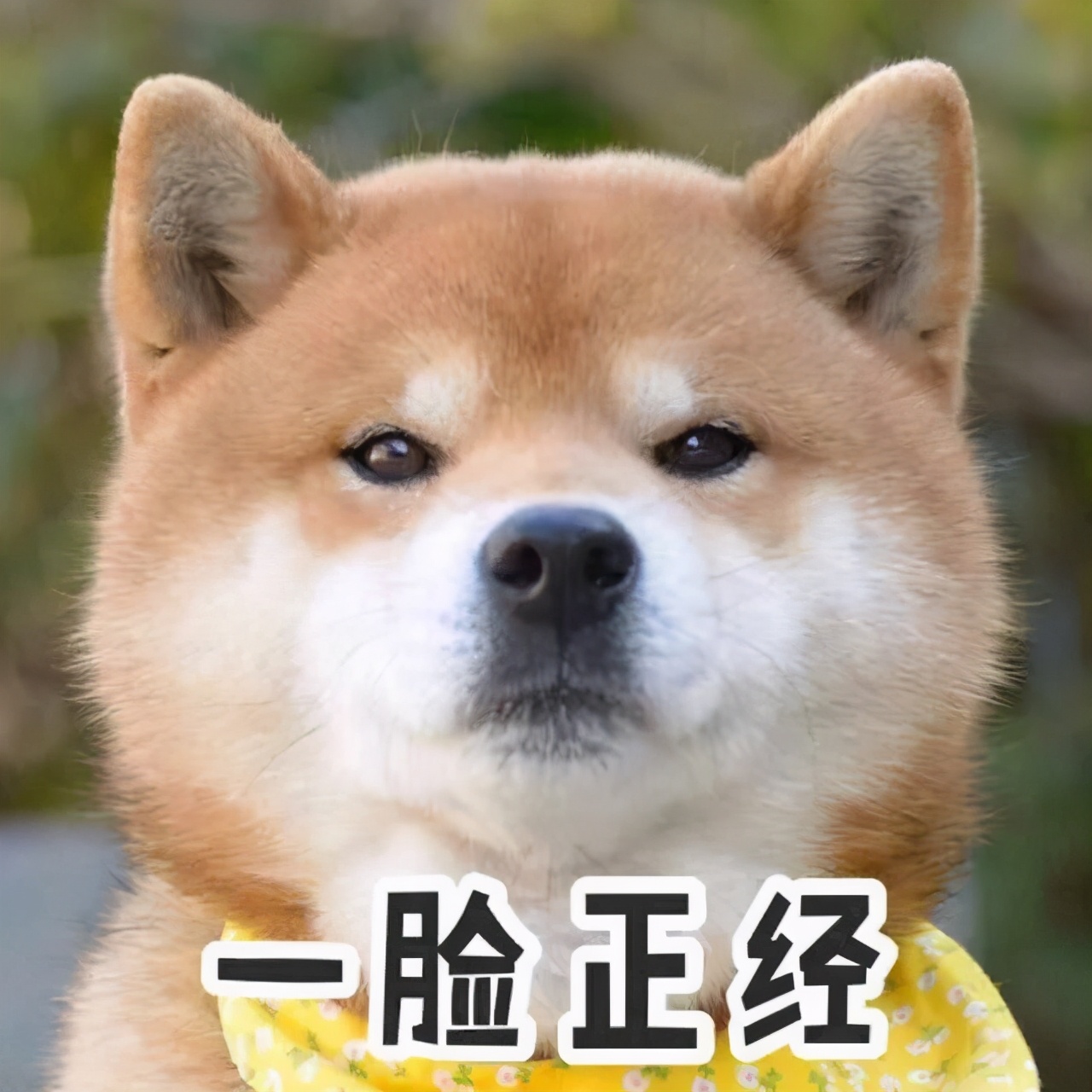 乳腺科男医生有多吃香,当男科医生的感受