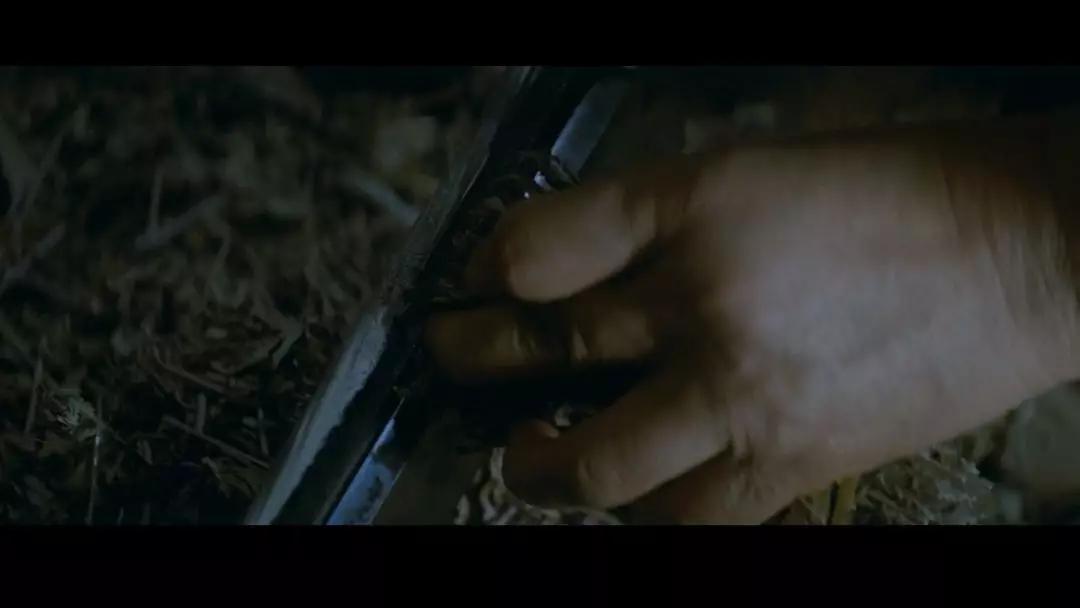 吹《寄生虫》不如吹它