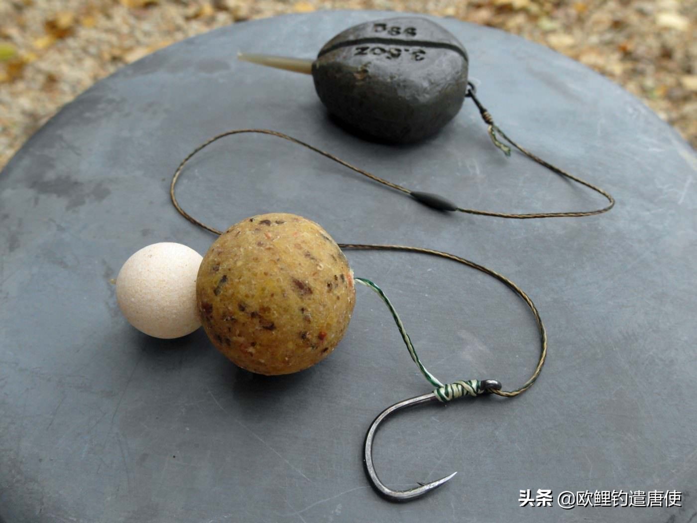 欧洲疫情催生钓鱼热？名企推新手套装钓大鲤鱼