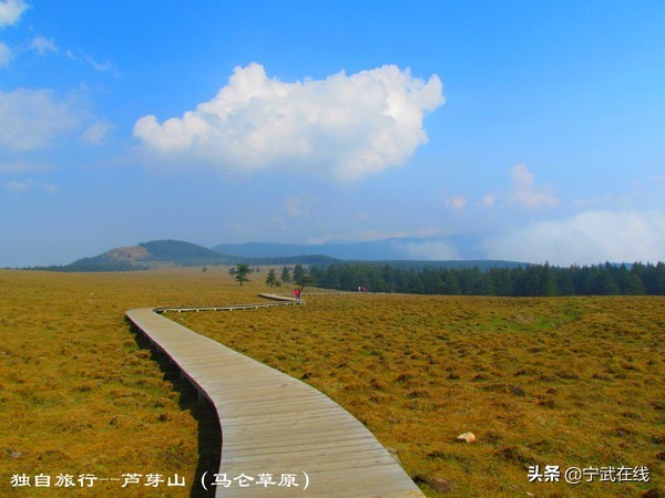 宁武芦芽山悬崖栈道,太原出发芦芽山马仑草原自驾路线