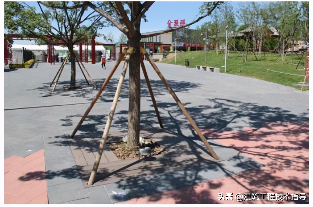 景观绿化提升项目施工技术方案,绿化种植施工方案范本