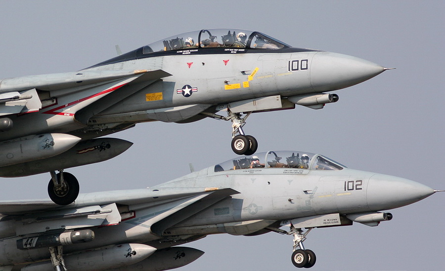 猫咪需要哪些用品,猫迷惑新技能