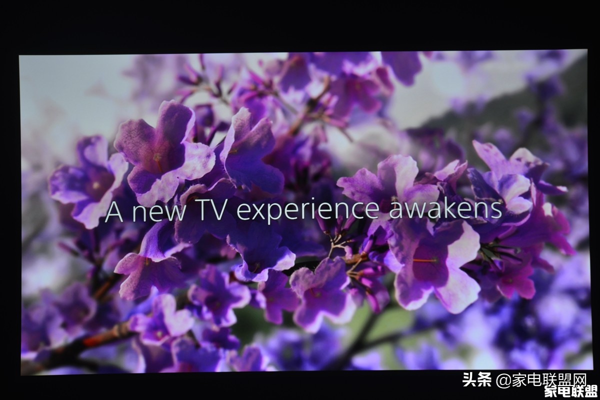 优派pled-w500投影机,优派dh10智能高清投影机