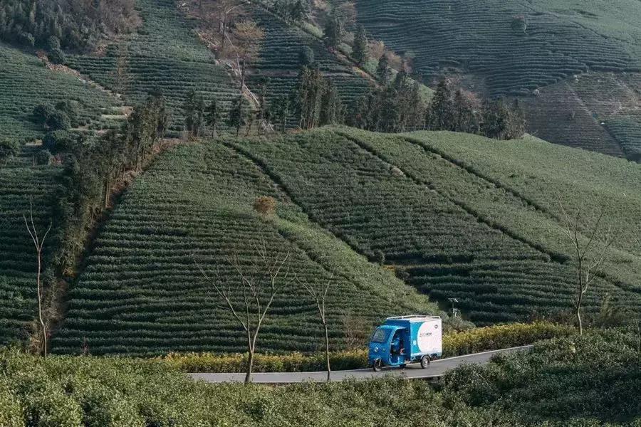 外国人羡慕中国治安有多好,为什么外国人羡慕中国男人