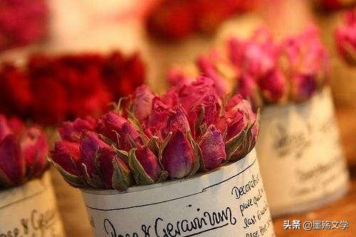 玉树琼花迎新春,玉树琼花