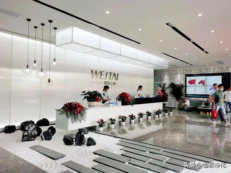 素雅别致天然妆成——微肽佛山办公室鉴赏