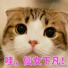 详细的全部化妆步骤,新手必看的巨详细化妆步骤