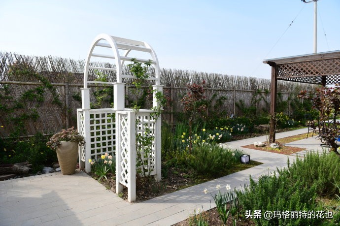 上海洋水仙,上海璞素上居民宿抖音团购