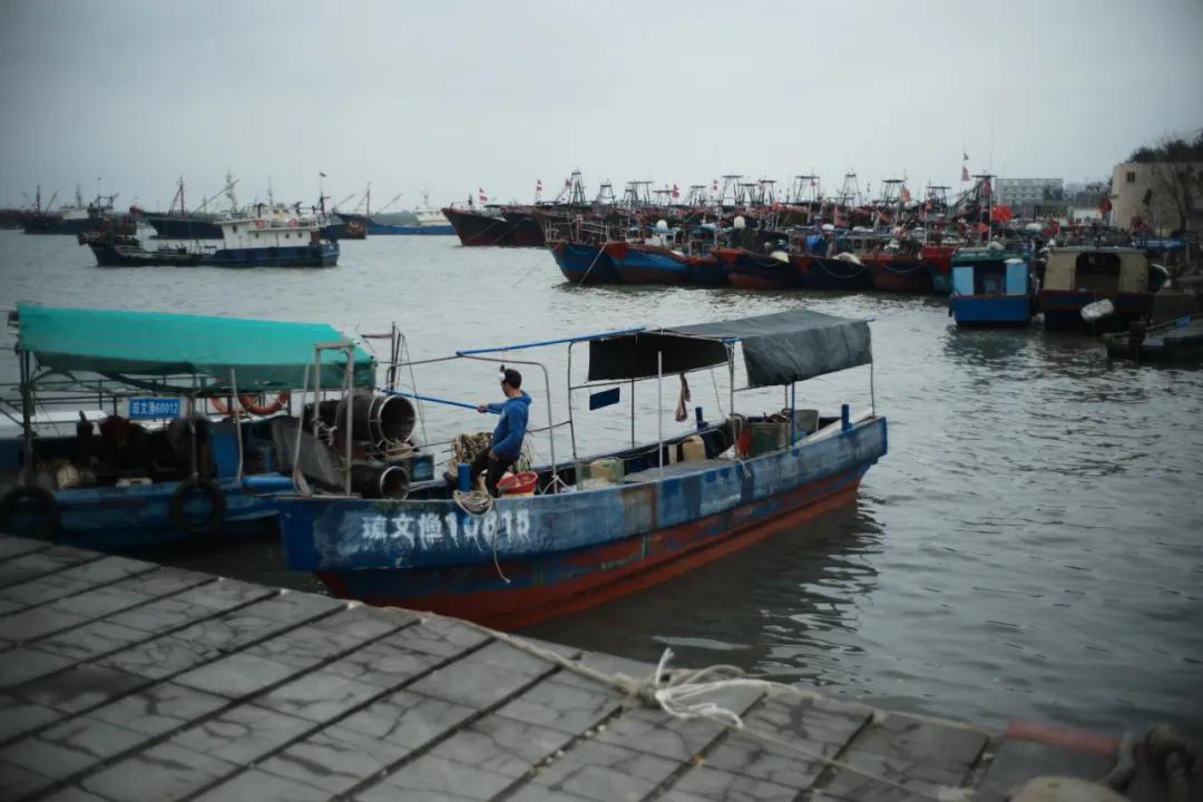 一年一度的开渔季,开渔季味蕾狂欢之旅