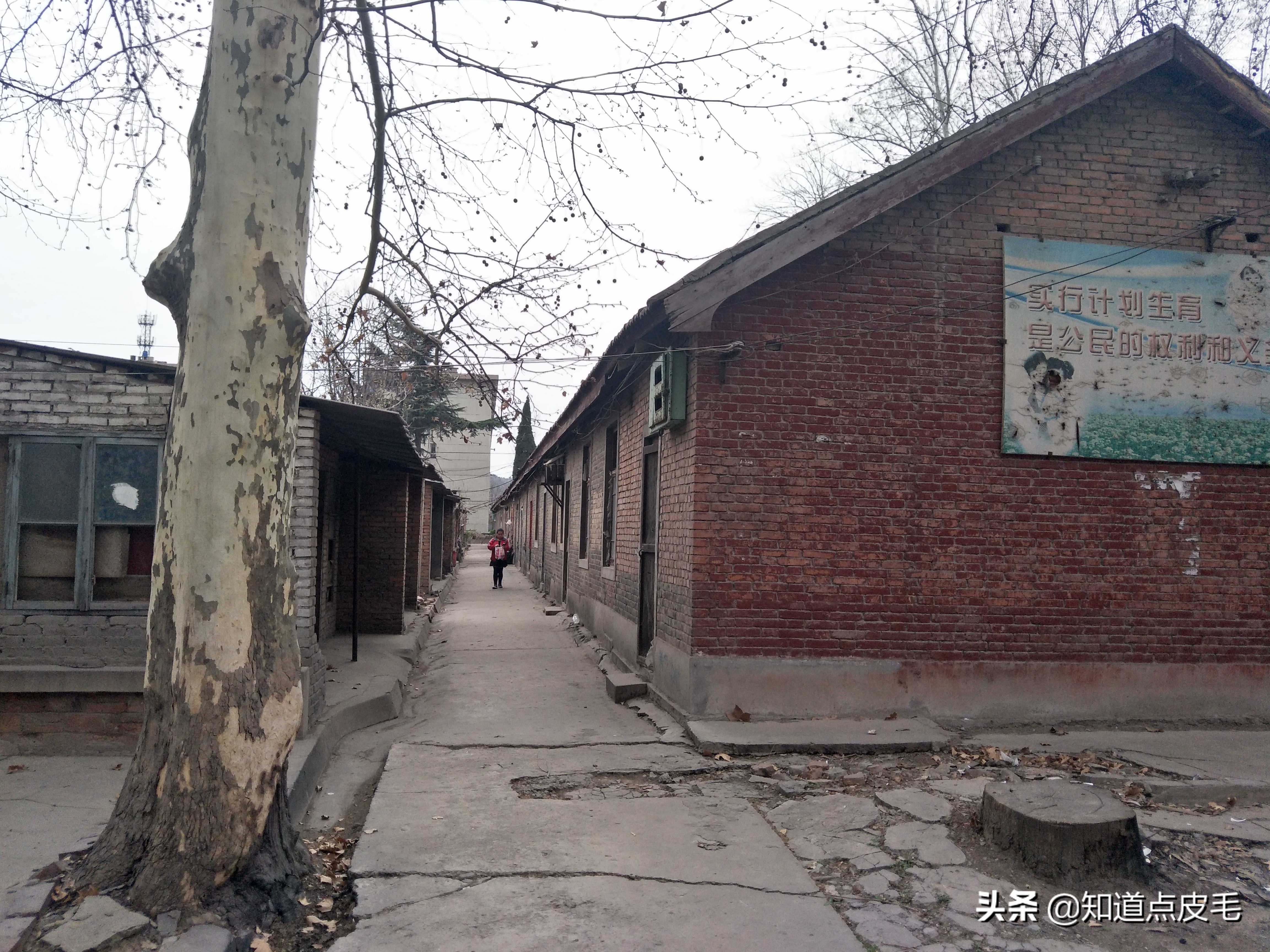 童年的回忆农村,童年的回忆维吾尔族