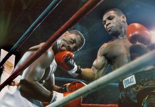 泰森的重拳真能打死一头大水牛吗？如果复出霍利菲尔德会应战吗？