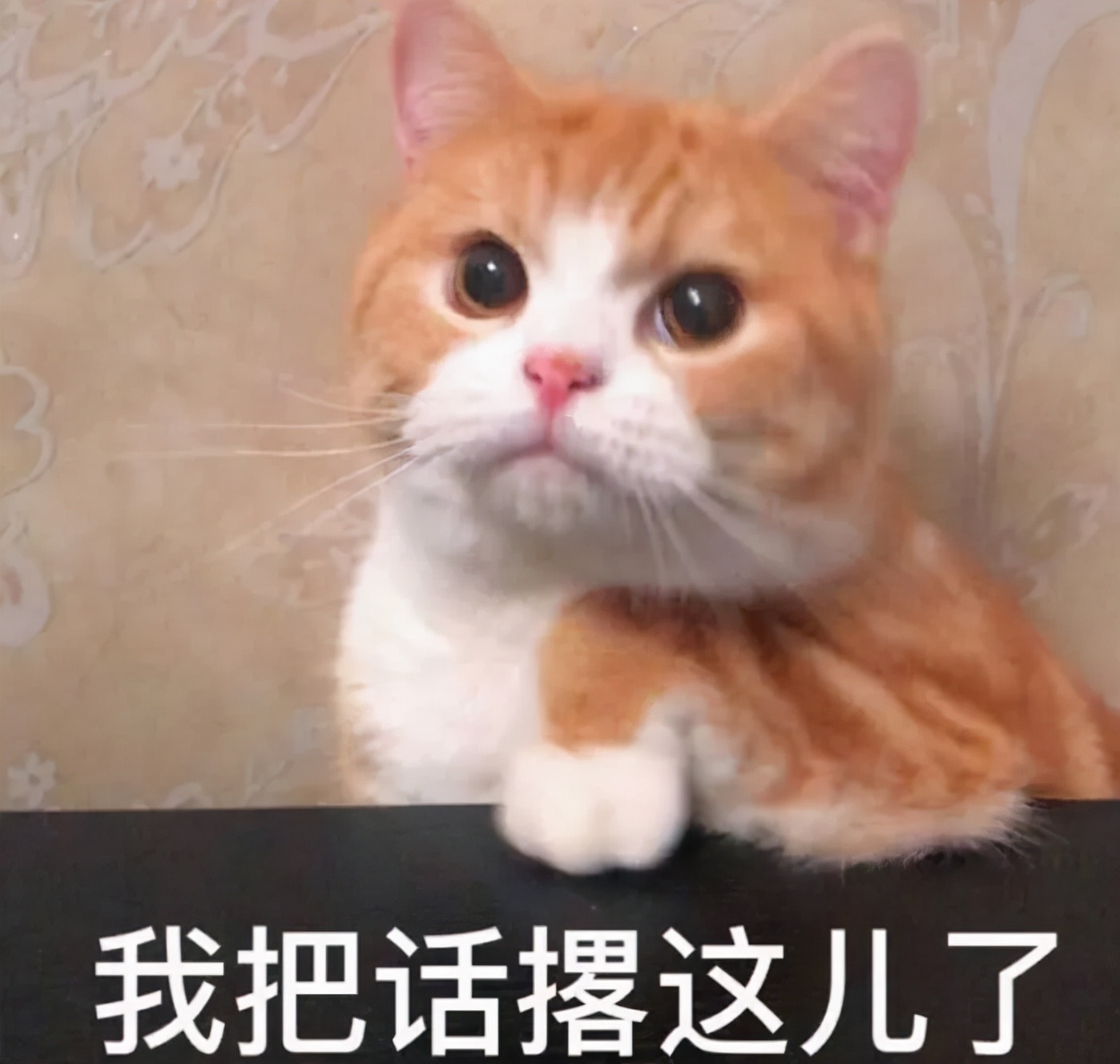 如何快速卖掉二手房视频,现在如何快速卖掉二手房