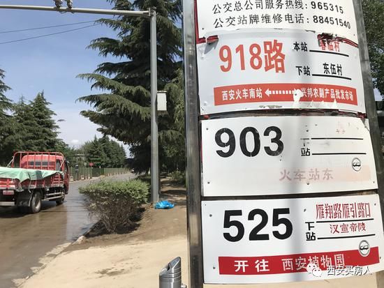 小易探店完整版,小易探店视频大全